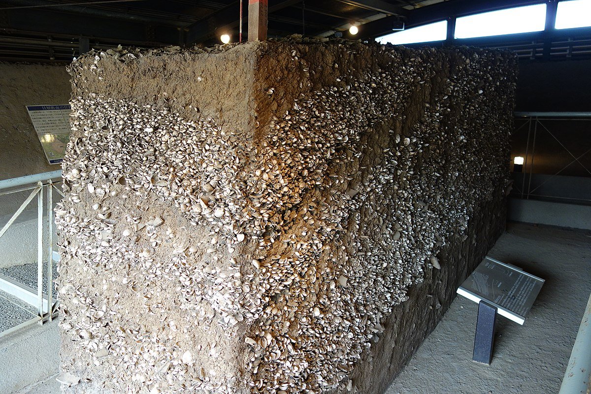 🏛️ 쓰치우라 시립 고고 자료관(쓰치우라시리쓰코코시료칸) 이미지 7